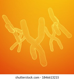 Chromosome scientific medicine education concept. Wireframe low poly mesh vector illustration