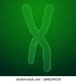 Chromosome scientific medicine education concept. Wireframe low poly mesh vector illustration