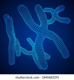 Chromosome scientific medicine education concept. Wireframe low poly mesh vector illustration