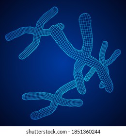 Chromosome scientific medicine education concept. Wireframe low poly mesh vector illustration