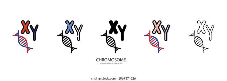 Chromosome set vector type icon