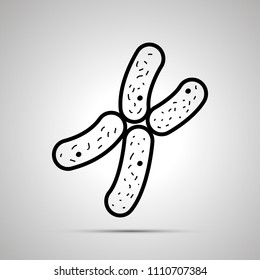 Chromosome simple black icon with shadow on gray