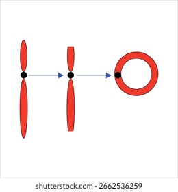 Transformação cromossômica da forma linear para a circular - Cromossomo anelar	