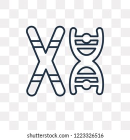 Chromosome vector outline icon isolated on transparent background, high quality linear Chromosome transparency concept can be used web and mobile