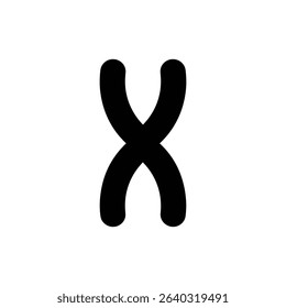 Chromosome X Shape Detailed Biology Science Image for Genetics