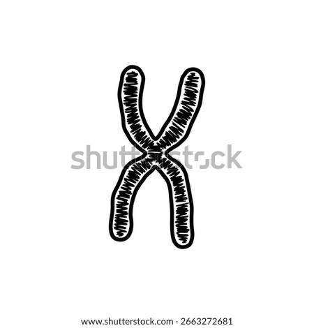 Chromosome X Shape Representation in Human Genetics