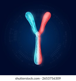 Chromosom Y realistische Form Modell mit durchscheinendem Polygon auf dunkelblauem Hintergrund. Medizinwissenschaftliche Technologie. Künstliche Gentechnik oder Geneditierkonzept. Vektor-EPS10.