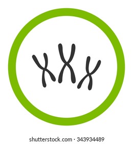 Chromosomes vector icon. Style is bicolor flat rounded symbol, eco green and gray colors, rounded angles, white background.