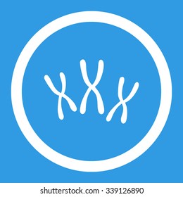 Chromosomes vector icon. Style is flat rounded symbol, white color, rounded angles, blue background.