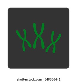 Chromosomes vector icon. Style is flat rounded square button, green and gray colors, white background.