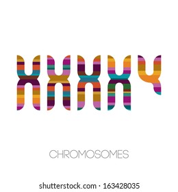 Chromosomes, vector illustration