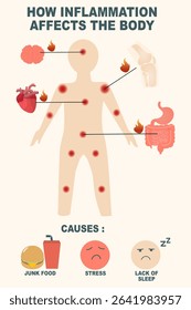 Chronic Inflammation Effects on Human Body Organs – Medical Health Infographic for Education and Wellness