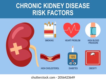 Chronic kidney disease risk factors infographic vector illustration.