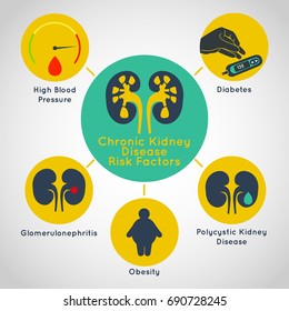 chronic kidney disease risk factors vector icon infographics