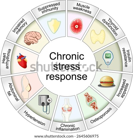 Chronic stress response. Cortisol dysregulation. Long-term effects of stress hormones. Detailed Vector poster