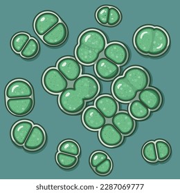 Chroococcus is a genus of cyanobacteria or blue-green algae belonging to the family Chroococcaceae.