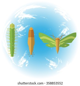 chrysalis, caterpillar, butterfly, icons, flat, signs, symbol. Background Earth