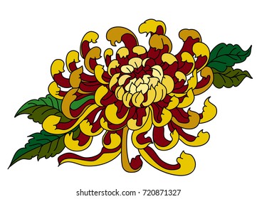 Chrysanth or Chrysanthemum vector illustration isolate on white background.tattoo style.Traditional Japanese culture for printing and coloring book on background.