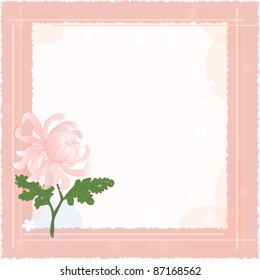 Chrysanthemum - Background with copy space for text