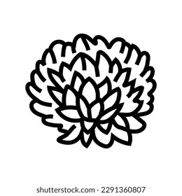 chrysanthemum blossom spring line icon vector. chrysanthemum blossom spring sign. isolated contour symbol black illustration