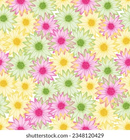 Chrysanthemum bright summer endless pattern. Rudbeckia daisy blossom with transparent petals. Decorative garden flowers fabric design. Subtle natural rapport.