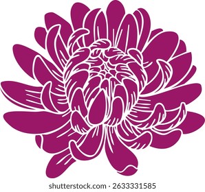 Crisântemo bud clipart vetor. Ilustração de flor desenhada à mão