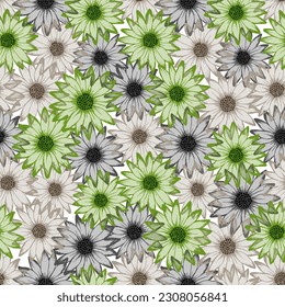 Chrysanthemum cute summer repeat rapport. Camomile daisy blossom with transparent petals. Doodle garden flowers fabric design. Girlie natural background.