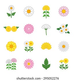 Chrysanthemum Daisy Marguerite icon set