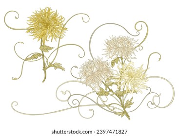 Chrysanthemum decorative flowers and leaves in art nouveau style, vintage, old, retro style. Clip art, set of elements for design. Vector illustration