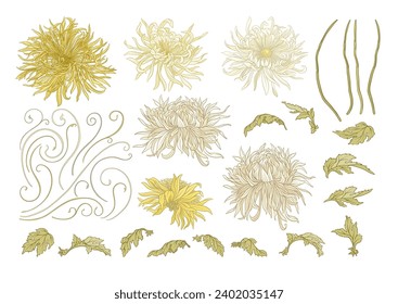 Chrysanthemum decorative flowers and leaves in art nouveau style, vintage, old, retro style. Clip art, set of elements for design. Vector illustration