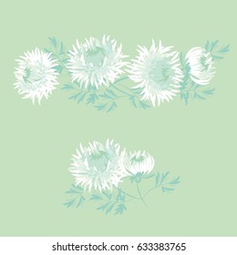chrysanthemum fall flower design element for card, invitation, header. white autumn floral vector illustration on pale background