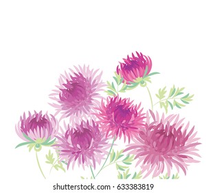 chrysanthemum fall flower design element for card, invitation, header. Purple autumn floral vector illustration isolated on white background