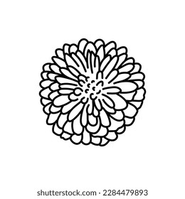 Chrysanthemum flower black line icon. Pictogram for web page, mobile app, promo.