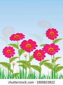 Flor crisantemo con diseño vectorial de fondo azul