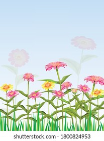 Chrysanthemum flower with blue background vector design