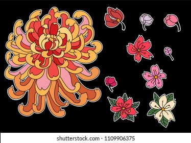 chrysanthemum flower with cherry blossom vector.
