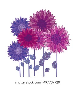 chrysanthemum flower element. autumn aster floral decorative vector illustration. fall decorative blossom 