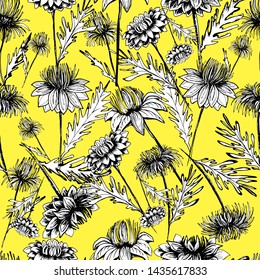  chrysanthemum flower, field beautiful plants, hand draws ink.  Large flowers in vintage style. Wallpaper design, textiles