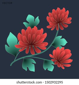 Chrysanthemum flower isolate, Vector illustration design element