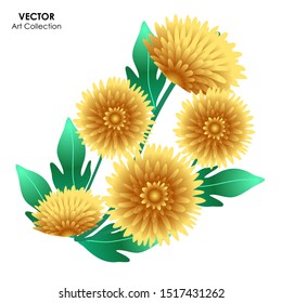 Chrysanthemum flower isolate, Vector illustration design element