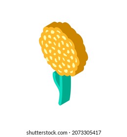 chrysanthemum flower isometric icon vector. chrysanthemum flower sign. isolated symbol illustration