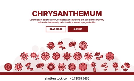 Chrysanthemum Flower Landing Web Page Header Banner Template Vector. Flowering Chrysanthemum, Blooming Daisy Marguerite In Glass Cup, Floral Plant Illustration