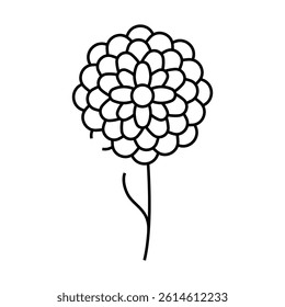 chrysanthemum flower line icon vector. chrysanthemum flower sign. isolated contour symbol black illustration