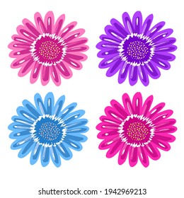 Chrysanthemum flower. Pink, blue, purple. For textiles, fabrics, backgrounds, packaging paper, wallpaper.