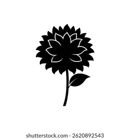 Chrysanthemum flower silhouette icon on white background
