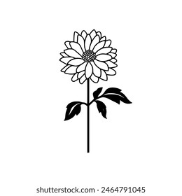 chrysanthemum flower vector, black and white