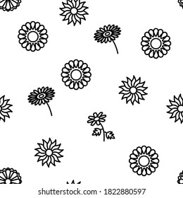 Chrysanthemum Flower Vector Seamless Pattern Thin Line Illustration