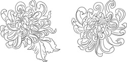 Chrysanthemum Flower Vector For Tattoo Or Embroider.Floral Illustration For Printing On Curtain Or Tablecloth.