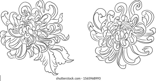 Chrysanthemum flower vector for tattoo or embroider.Floral illustration for printing on curtain or tablecloth.line art.clip art.Elements for coloring book or sticker printing.