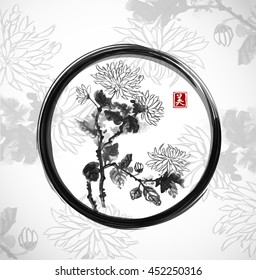 Chrysanthemum flowers in black enso zen circle. Traditional oriental ink painting sumi-e, u-sin, go-hua. Contains hieroglyph - beauty. 